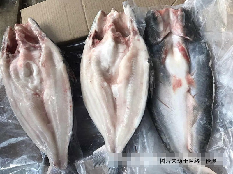 越南冷凍巴沙魚進(jìn)口報關(guān)資料到深圳鹽田水產(chǎn)品案例