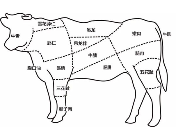 冷凍牛肉進(jìn)口報關(guān)