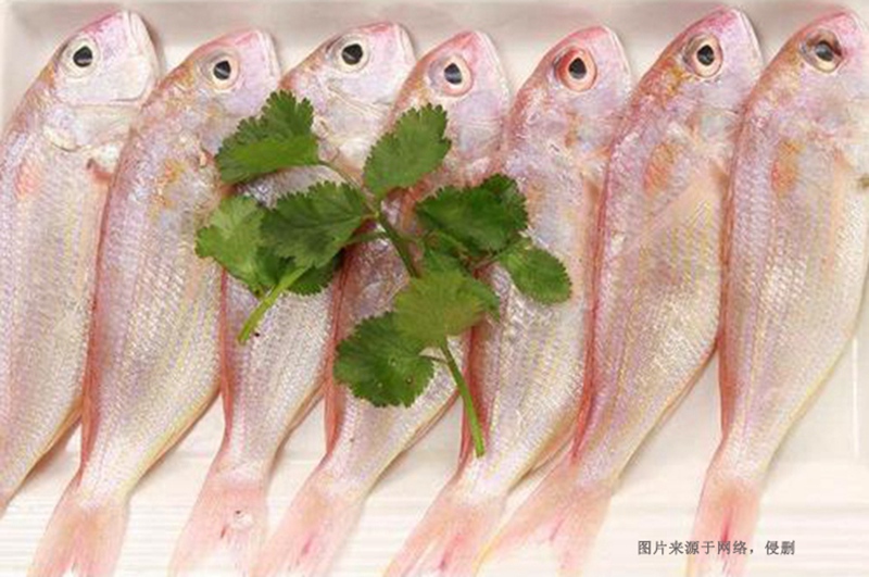 越南冷凍魚進(jìn)口清關(guān)資料